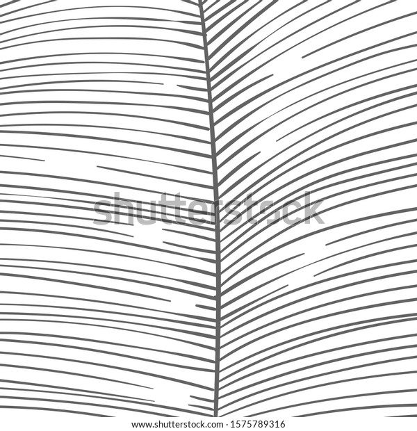 Hand drawn lines made striped background divided in\
the middle in two parts. Close up of tropical leaf or feather part\
macro