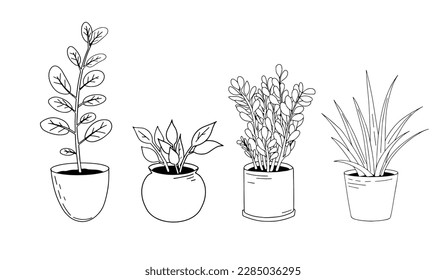 hand drawn lines of potted plants. black on a white background. set of potted plants