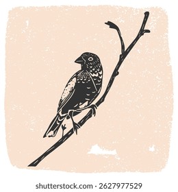 Hand drawn linocut style bird on a branch. Grunge illustration of bird silhouette isolated	