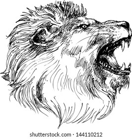 hand drawn lion head