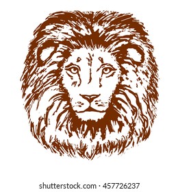 hand drawn lion head