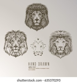 Hand drawn lion head.