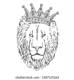Hand Drawn Lion Head with Crown. Lion Face T-shirt Print. Vector illustration