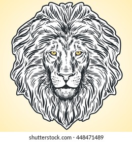 Hand drawn lion head illustration. Vector illustration