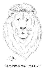 Hand drawn lion head. Hand made