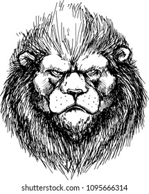 hand drawn lion head. Sketch
