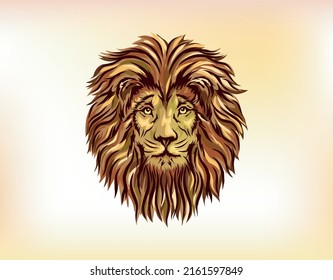 hand drawn of lion head vector