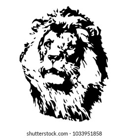 Hand drawn Lion illustration. Vector for logo,  t shirt printing, graphic tee and printed tee. 