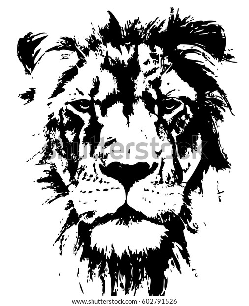 手描きのライオン 自然の色 イラトス のベクター画像素材
