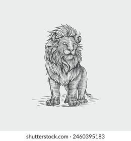 hand drawn lion sketch in engraving style Wild animal Vector Illustration