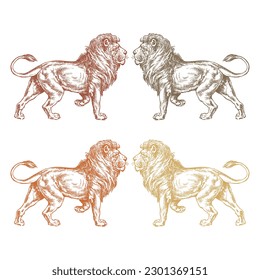 Ilustración del vector de león dibujado a mano. Animal salvaje de León