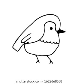Hand drawn little bird in black lines. Vector illustration.