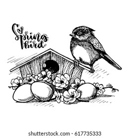 Hand drawn little bird on a birdhouse with Easter eggs and flowering branches. Ink sketch for greeting card. 