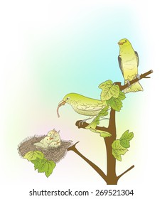 hand drawn little green birds feeding their young in the nest 