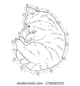 Hand drawn little kitten with magic stars. Fantasy coloring page for adults and children. Vector sketch of cat. Outline illustration.