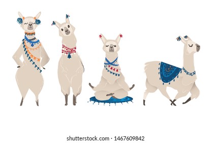 Hand drawn llama characters set for nursery design and poster flat cartoon vector illustration isolated on white background. Greeting birthday card and baby shower animal.