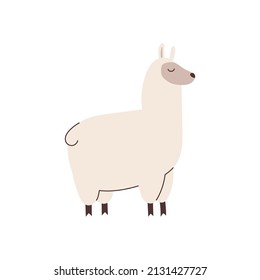 Hand drawn llama element for your design