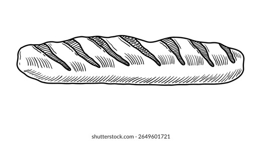 Pão desenhado à mão da ilustração do vetor do pão. Estilo de esboço desenhado à mão do pão