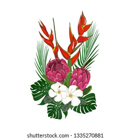 hand drawn lobster claw and red ice waratah with white flower element in vector illustration