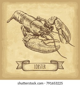 Hand drawn lobster isolated. Old craft paper texture background. Ribbon banner. Engraved style vector illustration. Template for your design works.