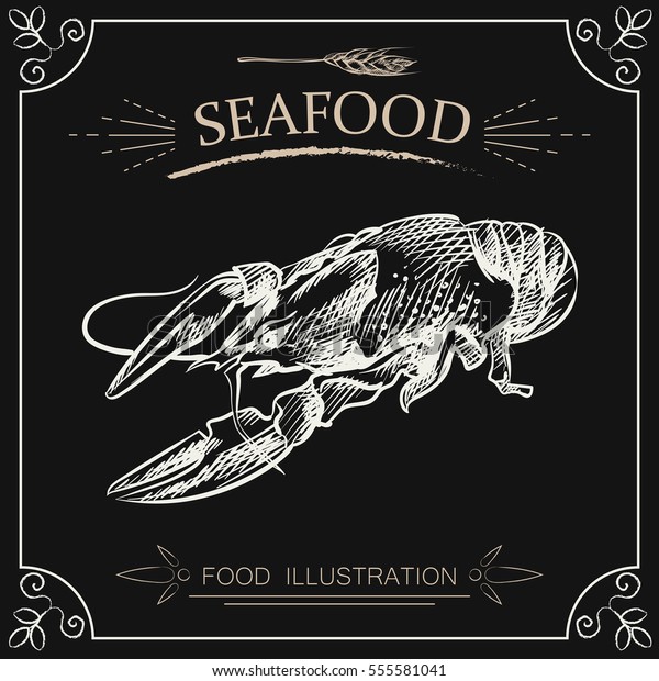 Hand Drawn Lobster Isolated On Chalkboard Stock Vector (Royalty Free