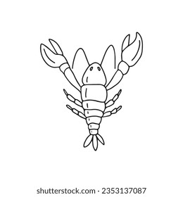 Hand drawn lobster vector illustration. Isolated on white background