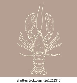 Hand drawn lobster. Vector illustration.