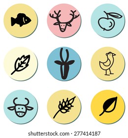 hand drawn logo and design elements collection, big hipster pack of arrows, icons and labels
