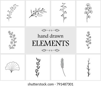 Hand drawn logo elements and icons. Hand drawn decorative vector elements with flower design for your branding. This collection can be used for creating logos, business cards, postcards