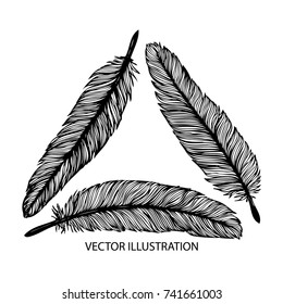 Hand drawn logo with feather isolated on white background. Feathers set. Vintage illustration. Hand made vector logotype.