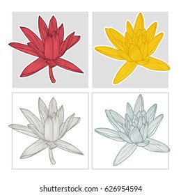 Hand drawn lotus flower. Black and color lotus on white background.