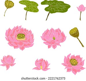 Hand drawn lotus flower isolate vector set.Hand drawn romantic beautiful line art of Lotus,Hand drawn lotus flower isolate vector set