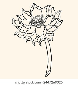 Hand drawn lotus flower isolate vector set.Hand drawn romantic beautiful line art of Lotus,Hand drawn lotus flower isolate vector set