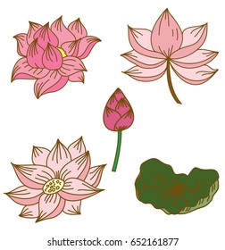 Hand drawn lotus flower isolate vector set.Traditional Japanese and Chinese flower illustration for elements on colorring books.