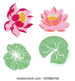 Hand drawn Lotus flower isolate on white background. Thai flower and Budhism symbol.