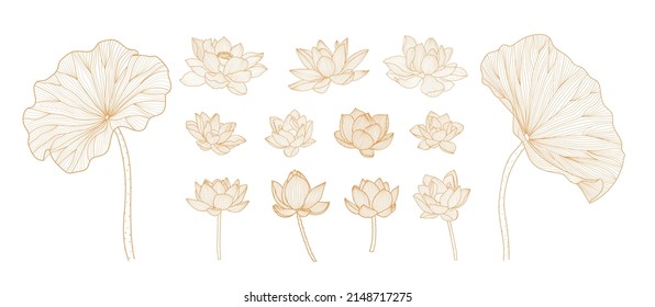 Hand drawn lotus flower line art ornament illustration Vector