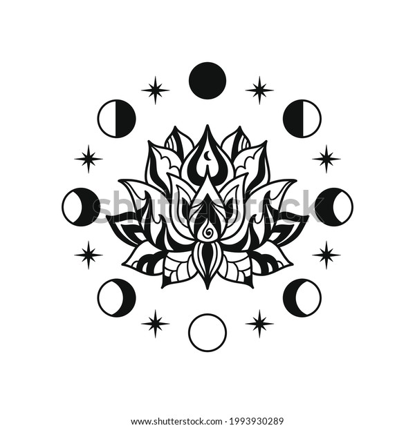Hand Drawn Lotus Flower Moon Phases Stock Vector (Royalty Free) 1993930289
