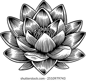 Hand drawn Lotus Flower Water Lily Sketch Illustration Engraving Woodcut Vintage Style Vector Line Art