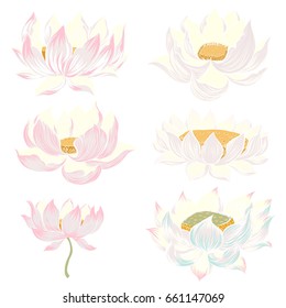 Hand drawn Lotus flower.isolate vector set