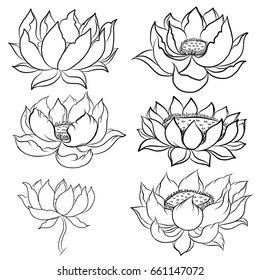 Hand drawn Lotus flower.isolate vector set