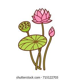 Hand drawn lotus plant botanical illustration. Flower and bud, leaf and seed pod. Vector waterlily drawing.