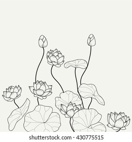 Hand drawn lotus pond light line illustration