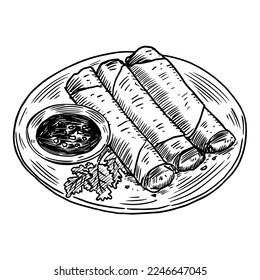 Hand Drawn Lumpia the Philippines and Indonesia Food