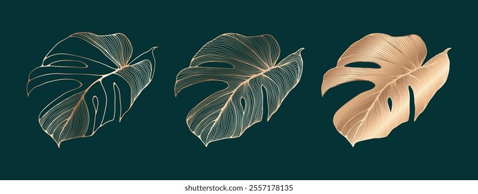 Hand drawn Luxurious tropical golden monstera leaves. Monstera leaf outline