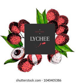 Hand drawn lychee branch, whole berry, half with leaves in design template. Colored engraved illustration. Square stylish frame composition. Restaurant menu, flyer, banner, exotic fruit summer party