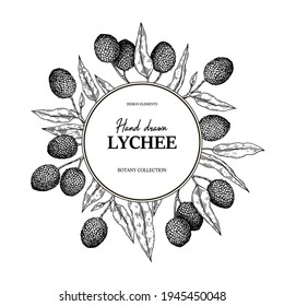 Hand drawn lychee design for packaging, banners, advertising, newsletters. Vector illustration in sketch style