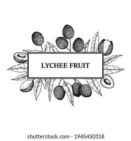 Hand drawn lychee design for packaging, banners, advertising, newsletters. Vector illustration in sketch style