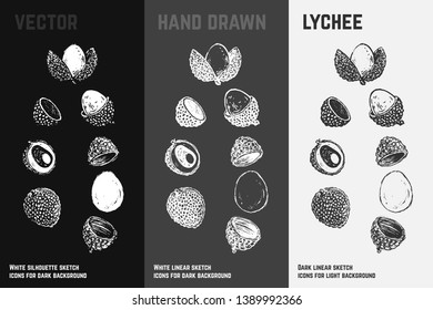 Hand drawn lychee icons set isolated on white, gray and black chalk background. Sketch of exotic fruits for packaging and menu design. Vintage vector illustrations.
