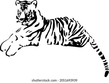 Hand drawn lying tiger. Chinese symbol of the New Year 2022. Happy New Year. Creative card design with tiger. Vector illustration.