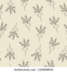 Hand drawn maca or Peruvian ginseng seamless pattern